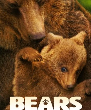 Bears