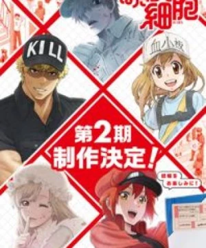 Hataraku Saibou!!