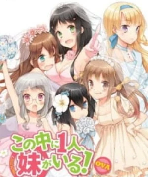 Kono Naka ni Hitori, Imouto ga Iru!: Ani, Imouto, Koibito