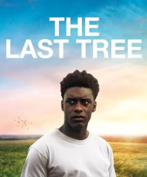 The Last Tree