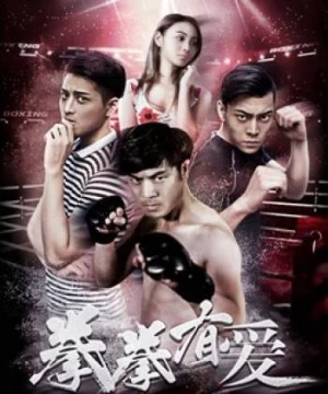 Yêu Boxer